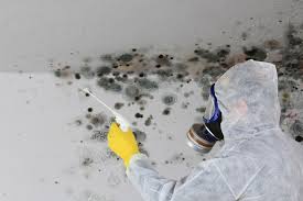 Best Environmental Consulting for Mold Prevention  in Rolling Hills Estates, CA